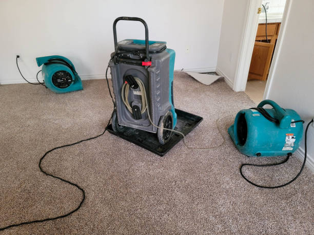 Best Water damage restoration specialists  in Lawrenceburg, TN