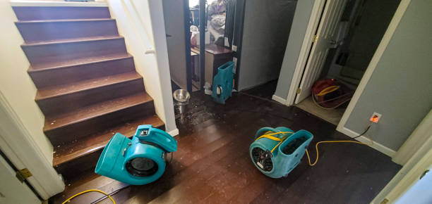 Best Residential water damage restoration  in Lawrenceburg, TN