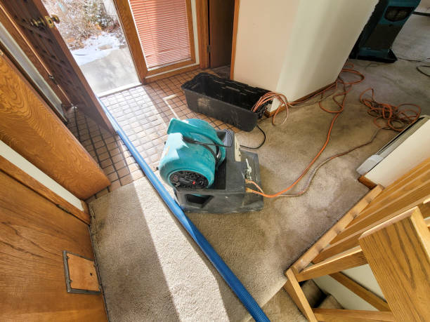 Best Fire Damage Restoration  in Lawrenceburg, TN