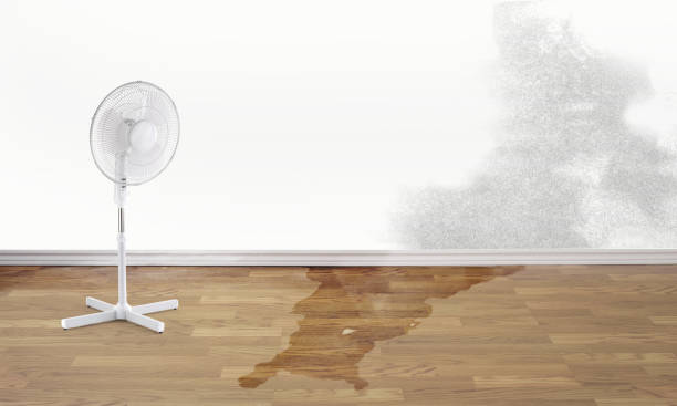 Best Water damage mitigation services  in Lawrenceburg, TN