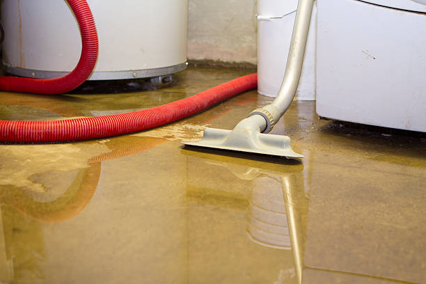 Best Commercial water damage restoration  in Lawrenceburg, TN