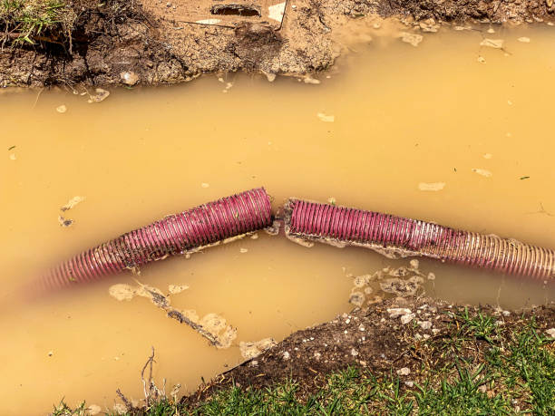 Best Water damage restoration near me  in Lawrenceburg, TN